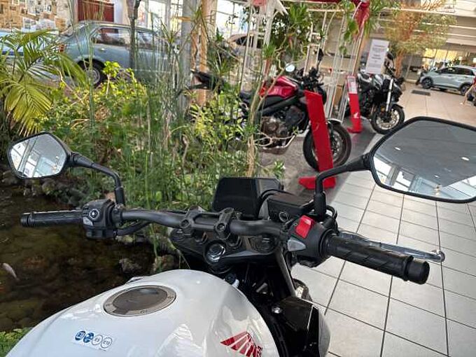 Honda CB 500 Hornet Vorf&uuml;hrer 