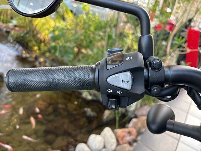 Honda CMX 500 Rebel 2025  Vorf&uuml;hrer 