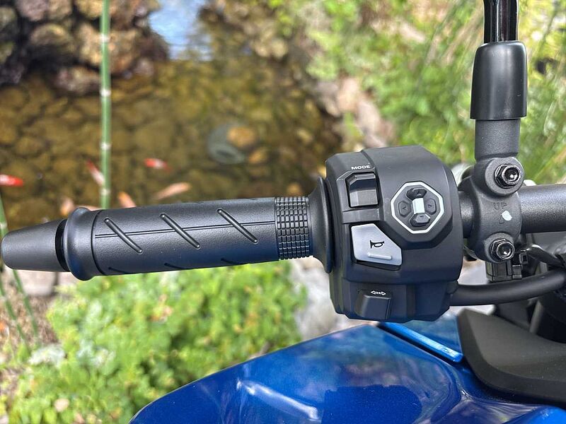 Honda CB 750 Hornet SOFORT VERFÜGBAR! !!