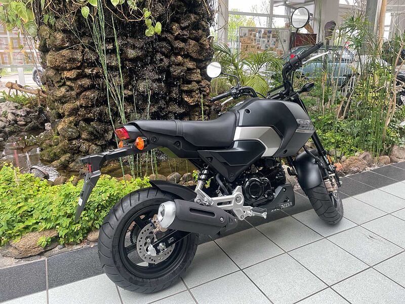 Honda MSX 125 Grom 2025 6 Jahre Garantie