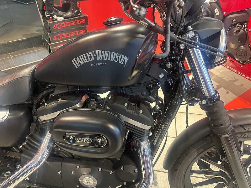 Harley-Davidson XL 883 N Sportster Iron